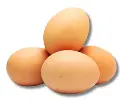 Egges