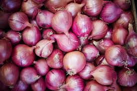 Onion 